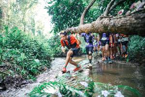 BIB: 
                            <button type="button" onclick="openModal(25467524)" class="btn btn-primary btn-sm float-right btn-popup" data-toggle="modal" data-target=".modal-high-quality">
                        <i class="fas fa-shopping-cart"></i> Add to Cart
                    </button>
                                            <button type="button" onclick="isThisMe(25467524, true)" class="btn btn-success btn-sm float-right btn-popup btn-isme hidden" data-toggle="tooltip" data-placement="bottom" title="นี่คือรูปของคุณใช่ไหม คลิกที่นี่เพื่อเอาเข้าอัลบั้ม">
                        <i class="fas fa-plus"></i> Add to album
                    </button>
                    <button type="button" onclick="isThisMe(25467524, false)" class="btn btn-warning btn-sm float-right btn-popup btn-isnotme hidden">
                        <i class="fas fa-ban"></i> Remove from album
                    </button>